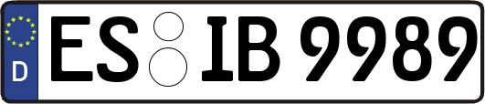 ES-IB9989