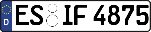 ES-IF4875