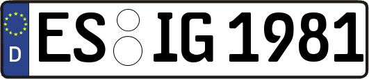 ES-IG1981