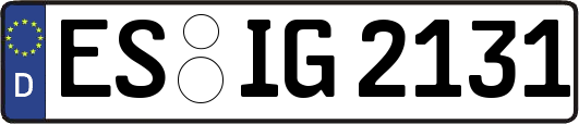 ES-IG2131