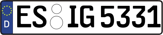 ES-IG5331