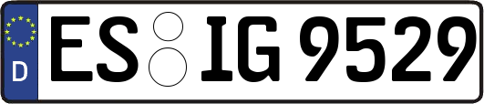 ES-IG9529