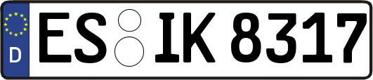 ES-IK8317