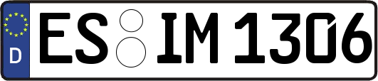 ES-IM1306