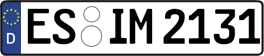 ES-IM2131