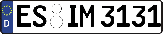 ES-IM3131