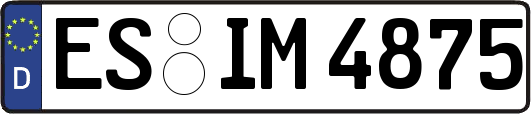 ES-IM4875