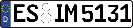 ES-IM5131