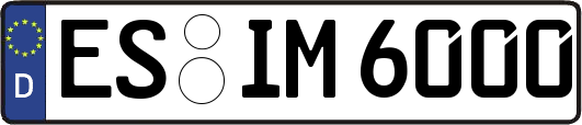 ES-IM6000