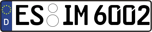 ES-IM6002