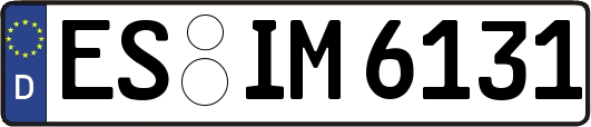ES-IM6131