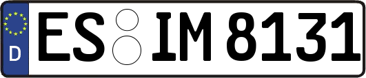 ES-IM8131