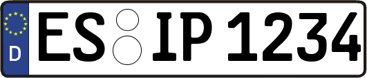 ES-IP1234