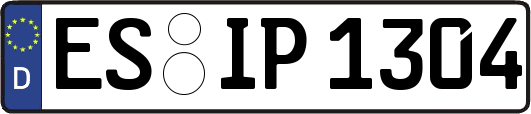 ES-IP1304