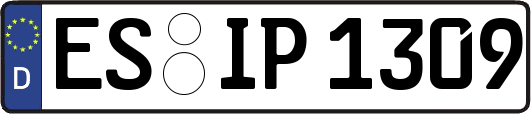 ES-IP1309