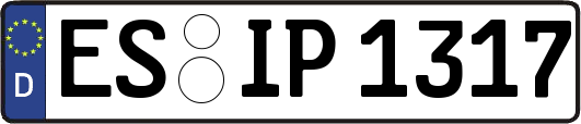 ES-IP1317