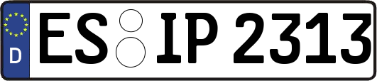 ES-IP2313