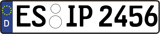 ES-IP2456
