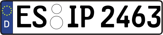 ES-IP2463