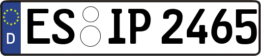 ES-IP2465