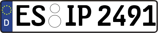 ES-IP2491