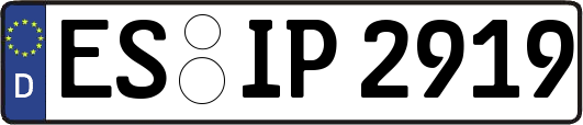 ES-IP2919