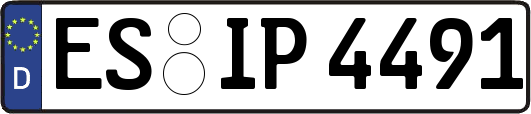 ES-IP4491
