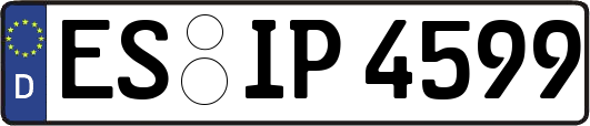 ES-IP4599