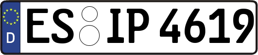 ES-IP4619