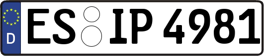 ES-IP4981
