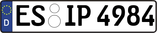 ES-IP4984