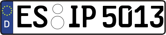ES-IP5013