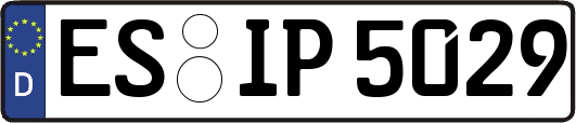 ES-IP5029