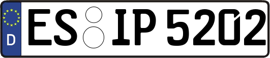 ES-IP5202