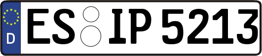 ES-IP5213