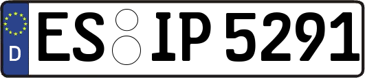 ES-IP5291