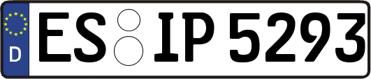 ES-IP5293
