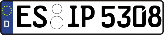 ES-IP5308