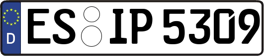 ES-IP5309