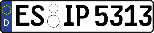ES-IP5313