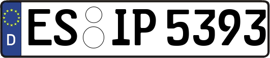 ES-IP5393