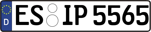 ES-IP5565