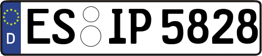 ES-IP5828