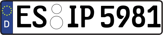 ES-IP5981