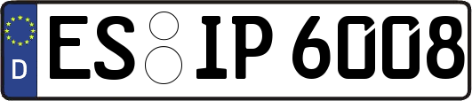 ES-IP6008