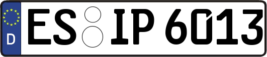 ES-IP6013