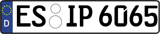 ES-IP6065