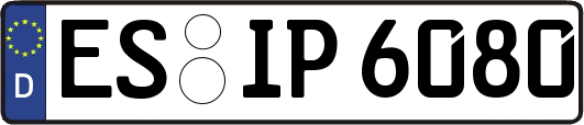 ES-IP6080