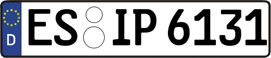 ES-IP6131