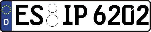 ES-IP6202